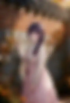 想看的話就來搭話吧~