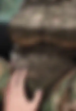 怦怦跳...現在還是秘密!