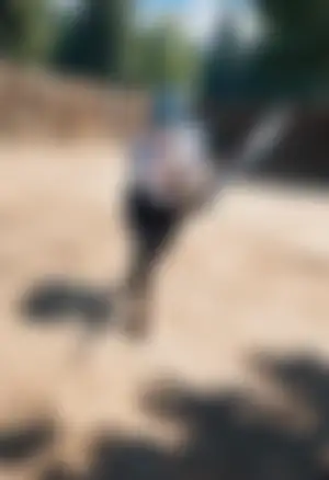 哼~才不给你看呢